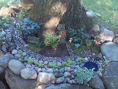 a rock garden with rocks and plants around it in the middle of a tree trunk