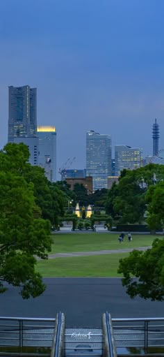 the city skyline is lit up at night, with trees and benches in the foreground