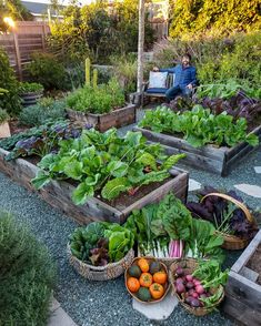 several wooden boxes filled with lots of different types of vegetables and fruit sitting on top of gravel