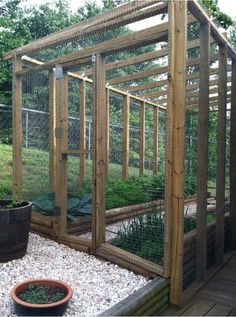 an outdoor garden with lots of plants in it