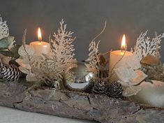 two lit candles sitting on top of a piece of driftwood next to pine cones