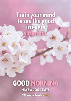 a pink background with white flowers and the words, good morning have a good day