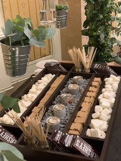 several trays filled with marshmallows and other treats on a table next to a potted plant