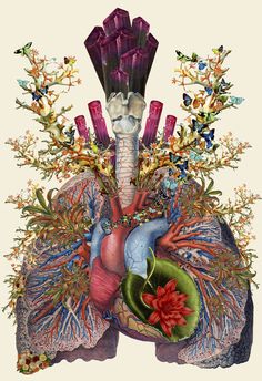 an image of the human body with flowers and plants on it's side, as well as other things