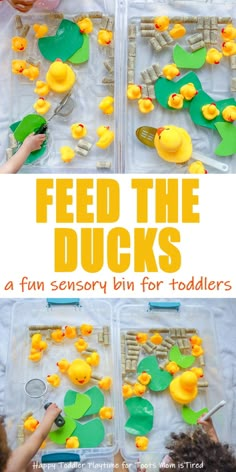 the process to make ducks for toddlers is shown with plastic trays and paper plates