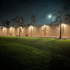 a fence with lights on it and palm trees in the grass near by at night