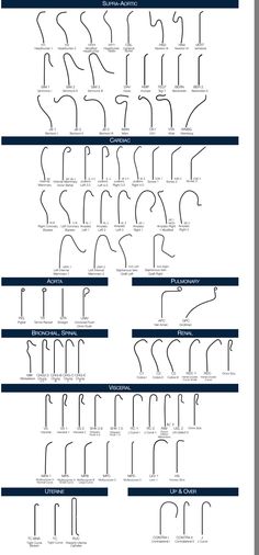 an image of the alphabets and numbers in different languages, including one for each letter