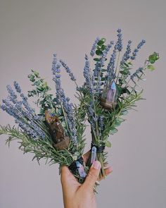 a person holding some flowers in their hand