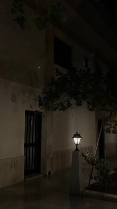 a street light sitting next to a tree in the middle of a building at night