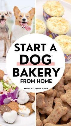 a collage of pictures with different types of dog food and the words start a dog bakery from home