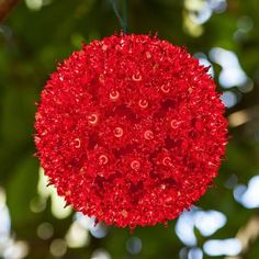 a red ball hanging from a tree with lots of green leaves in the back ground