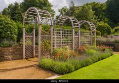 a garden with various types of flowers and plants in it