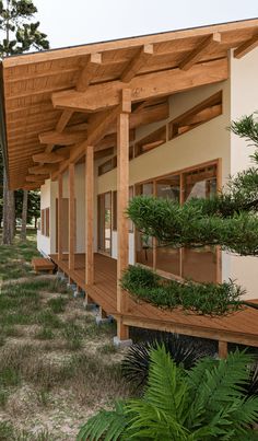 a building that has some plants growing on it's sides and is covered in wood