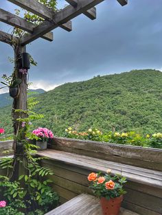 a wooden bench sitting on top of a lush green hillside covered in lots of flowers