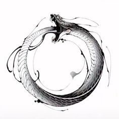 a black and white drawing of a snake in a circle