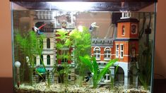 an aquarium filled with plants and small buildings