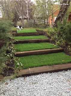 some grass is growing on the steps in this backyard area, and it looks like they have been cut down