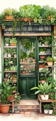 a green door with potted plants on the outside and shelves full of houseplants