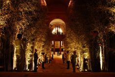 people are standing in the middle of an indoor garden area at night with lights on trees