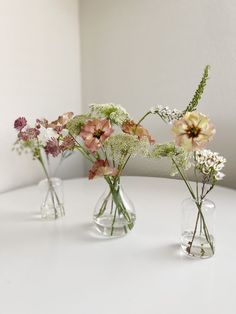 three glass vases with flowers in them on a table