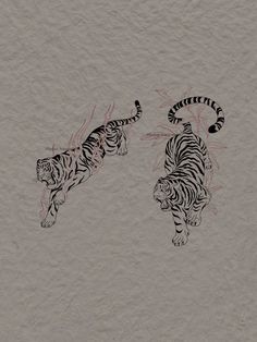 two drawings of tigers are shown on a piece of paper with the same drawing as each other