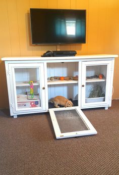 a dog laying on the floor in front of a tv with its paws under it