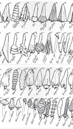 several different types of trees and their names in black ink on white paper, with the words