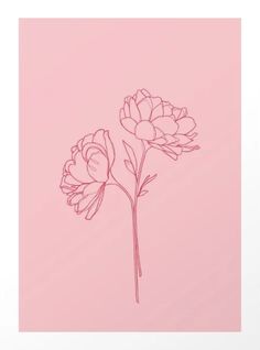 two pink flowers on a light pink background