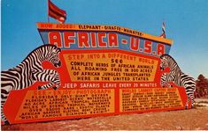 the sign for africa - u s a with zebras in front and flags on it