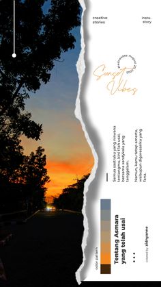 the back side of a brochure with trees and sunset in background