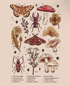 an illustration of various insects and flowers