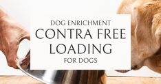 dog enrichment contra free loading for dogs is an easy way to keep them entertained