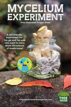 a jar filled with food sitting on top of a rock next to leaf covered ground