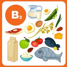 Vitamins Aesthetic, Vitamin B12 Foods, Worksheets For Toddlers, B2 Vitamin, Preschool Color Activities, Food Coloring Pages, Dot Worksheets, Cut And Glue