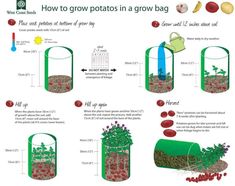 the diagram shows different stages of growing plants and how they can be used to grow them