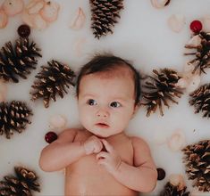 a baby laying in a bath filled with pine cones