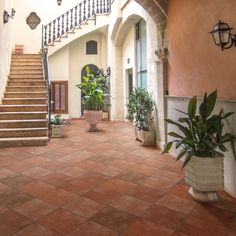 an indoor courtyard with potted plants and stairs