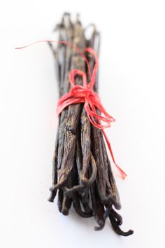 Vanilla Aphrodisiac Foods, Perfume Recipes, Fragrance Ingredients, Vanilla Fragrance, Aromatic Herbs, Vintage Perfume, Favorite Scents, Creative Food