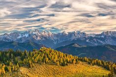 the mountains are covered in snow and green trees with yellow leaves on them, under a cloudy sky