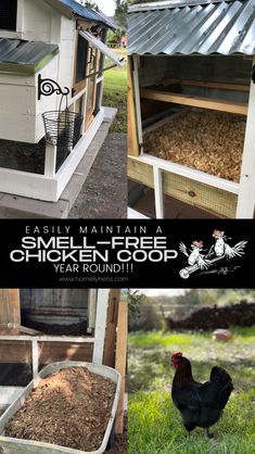 the chicken coop has been built and is ready to be used