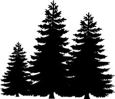 three trees silhouetted against a white background