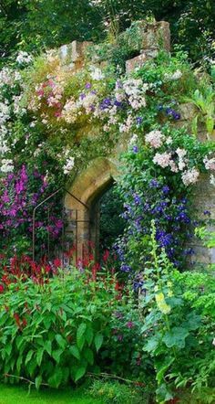 the garden is full of colorful flowers and greenery, with an archway in the middle