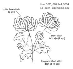 the diagram shows how to draw flowers in different stages of blooming, from left to right