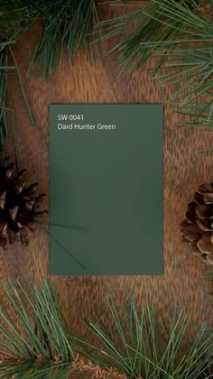 Green Throughout House, 2023 Dark Green Paint Color, Green Walls Hardwood Floor, Dard Hunter Green Sw, Large Living Room Paint Ideas, Hunter Green Wall Paint, Paint Colors That Go With Wood Paneling, Hunter Green Home Decor