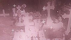 an aerial view of a cemetery with crosses and flowers on the ground in sepia