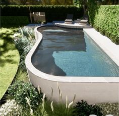 an empty swimming pool in the middle of a garden with lounge chairs and plants around it