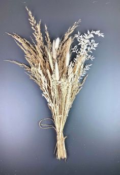 dried flowers against a gray background