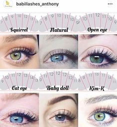 the different types of eyelashes and how they are used to make them look like they're