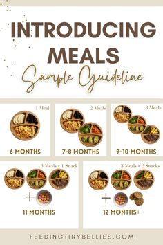 Introducing Meals For Babies | Sample Guideline Easy Dinners With Newborn, 101 Before One Recipes, Blw Day 1, 100 Foods Before One, 100 Foods Before 1, Blw Breakfast Ideas, Meals For Babies