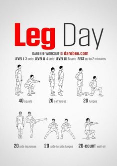 a poster with instructions on how to do a leg day workout for the entire body